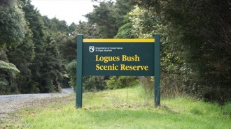 Logues Bush Track, Wellsford